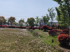 -菊园百果园
