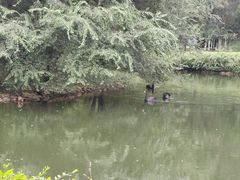 -长白岛森林公园