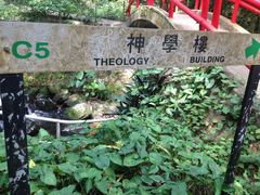 -大埔公路-马料水段香港中文大学(公交站)