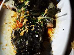 -蓝湾碧波·老字号·疍家非遗海上餐厅