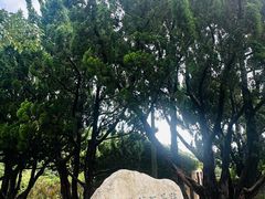 -无染寺