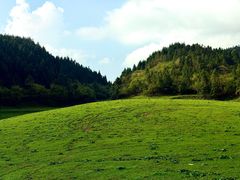 -武陵山森林公园