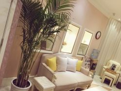 -UP&UP·半永久眉毛眼线机器野生眉