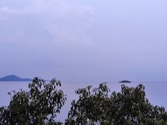 -上海市保健医疗中心