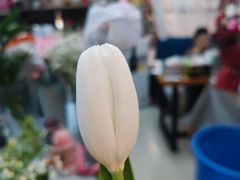 -花匠花艺鲜花店(尹山湖店)