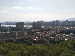 -金鸡山公园