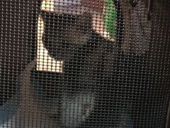 -lincat·猫舍(广州店)