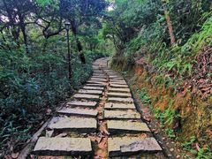 -阳台山森林公园
