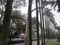 -中山大学学者灵芝(园南路店)