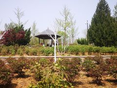 -济南植物园