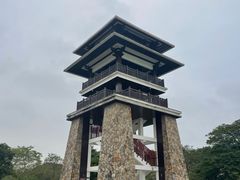 -大湾区中央湿地公园