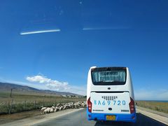 -青海湖国家重点风景名胜区