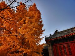 -承恩寺