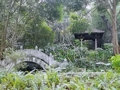 -深圳国际园林花卉博览园