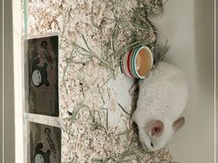 -龙猫仔乐园(惠福东路店)