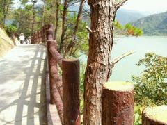 -羚羊峡古栈道森林公园