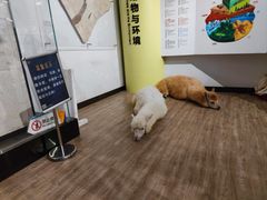 -正佳自然科学博物馆