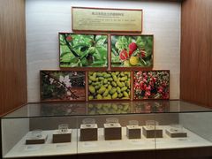 -南越王博物院(王宫展区)