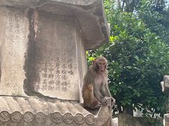 -黔灵山公园