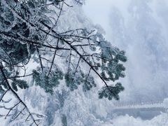 -瓦屋山景区