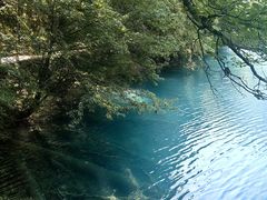 -九寨沟-树正沟