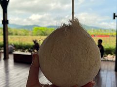 -亚龙湾国际玫瑰谷