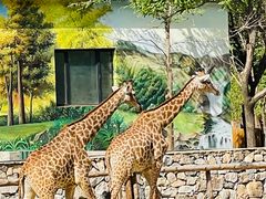 -北京野生动物园