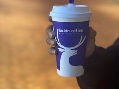 -瑞幸咖啡(凤凰海负一楼美食街店)