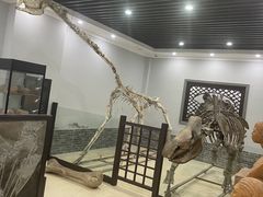 -游龙石文化科普馆