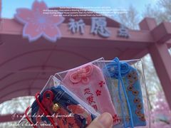 -金茂览秀城
