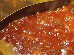 -蜀大侠火锅(总府路店)