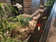 -川旺角川粤融合菜•海景餐厅(星海广场店)