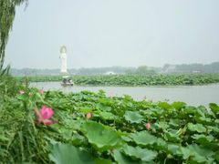 -白洋淀景区