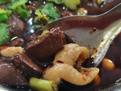 -大邑李记肥肠血旺