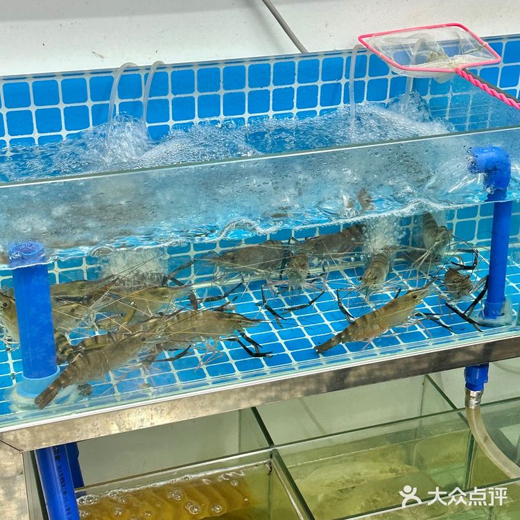 广州探店 | 江南西宝藏美食马来沙爹寸