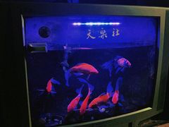 -武汉天乐社武宫剧场