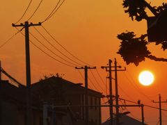 -老汪猪头肉春饼店