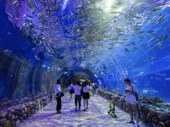 -华夏文旅海洋公园