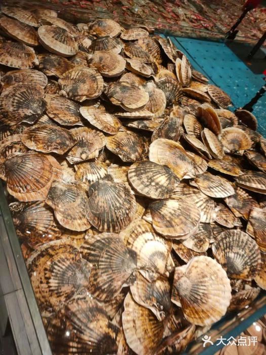 钱库里海鲜自助(星海广场店)大扇贝图片