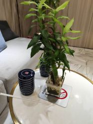 -CE·专业蛋白•羽毛接发·潮色烫染品牌店