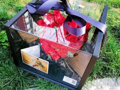 -拾花记花艺·求婚·订婚·生日布置(高新店)