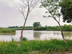 -沙家浜风景区