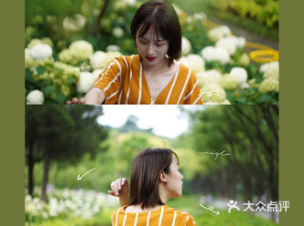 立秋 | 我无尽的藏在了盛夏的绿色里