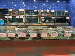 -凤凰楼酒家·粤宴点心(华强北店)