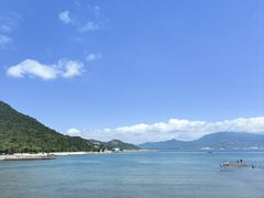 -杨梅坑