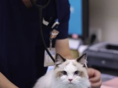 -美联众合动物医院·24h京西诊疗中心