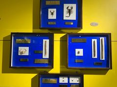 -上海昆虫博物馆