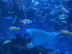 -海合安成都极地海洋公园