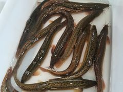 -金沙滩海鲜餐厅·海肠捞饭·手工水饺(梅江龙水园店)