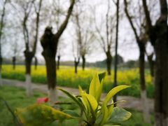 -艾溪湖湿地公园